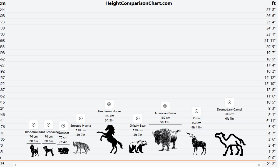 animal height comparison